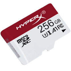 Kingston 金士顿 A1 Class10 UHS-I U3 256GB TF(Micro SD)存储卡